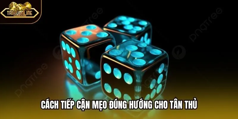 Cách tiếp cận mẹo đúng hướng cho tân thủ