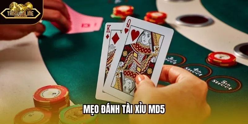 Mẹo đánh tài xỉu MD5